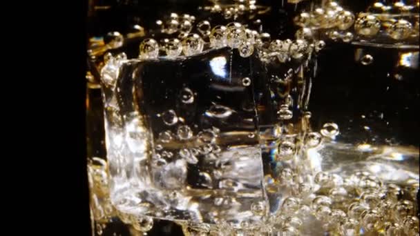 氷のキューブとシャンパンのガラスのクローズアップ — ストック動画