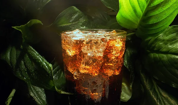 Glass Cola Ice Cubes — Stock Photo, Image