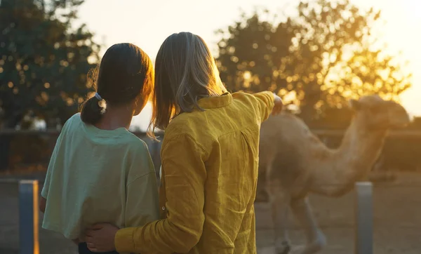Frau Und Ihre Tochter Beobachten Kamele — Stockfoto
