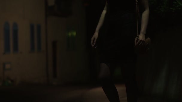 Oczekiwania Klienta Nocy Ulica Prostytutka — Wideo stockowe