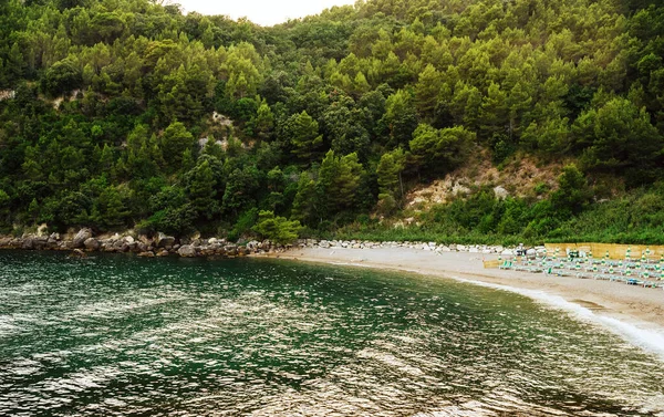 Sun Loungers Umbrellas Sassolini Beach — Stockfoto