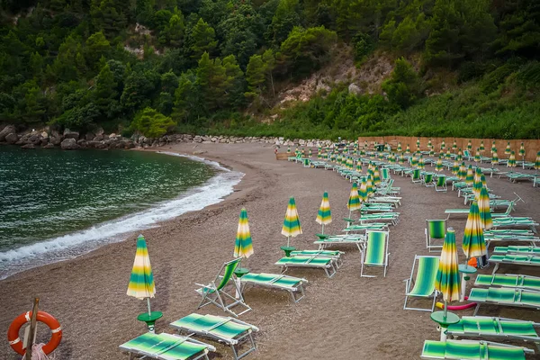 Sun Loungers Umbrellas Sassolini Beach — Stockfoto