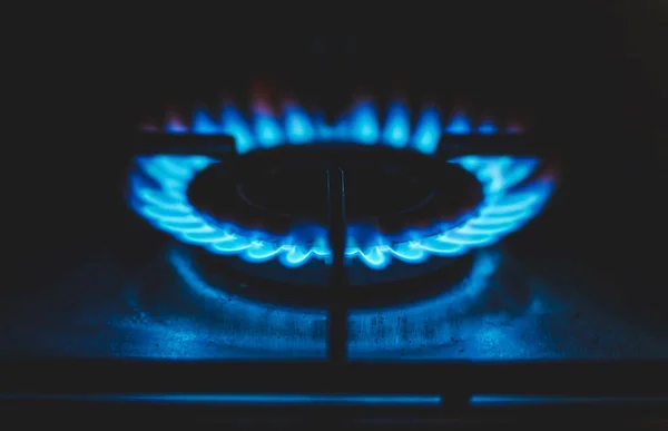 Gas Cooker Burning Flames Blue Propane Gas — Foto de Stock