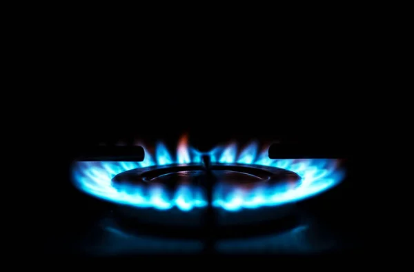 Gas Cooker Burning Flames Blue Propane Gas — Fotografia de Stock