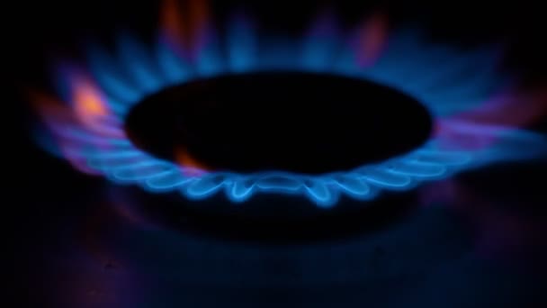 Gas Cooker Burning Flames Blue Propane Gas — Vídeo de Stock