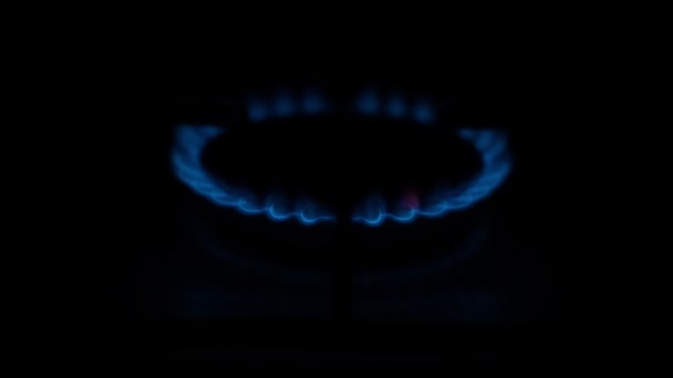 Gas Cooker Burning Flames Blue Propane Gas — Vídeo de Stock