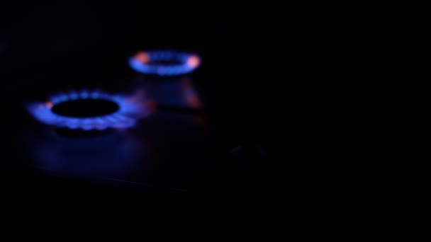 Gas Cooker Burning Flames Blue Propane Gas — Videoclip de stoc