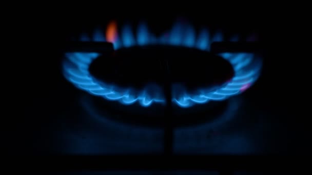 Cocina Gas Con Llamas Ardientes Gas Propano Azul — Vídeo de stock