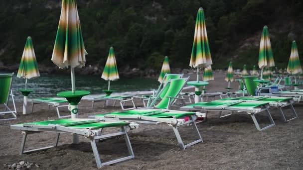 Sun Loungers Umbrellas Sassolini Beach — ストック動画