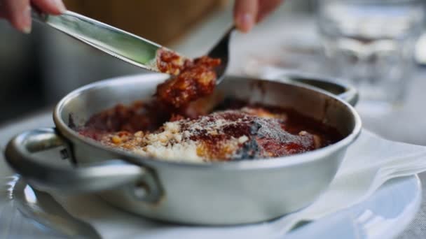 Traditional Italian Lasagne Bowl — Vídeo de Stock