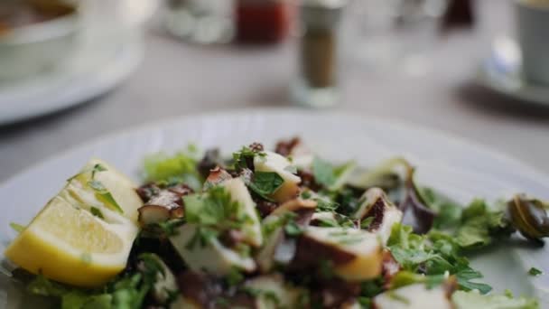 Traditional Salad Octopus Herbs — Vídeos de Stock