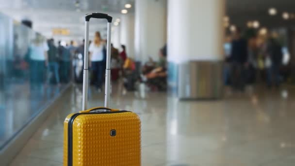 Forgotten Travel Bag Airport — Stock Video