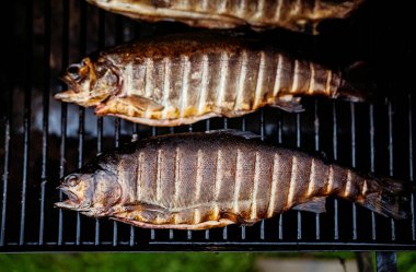 Rainbow trout smoked on grill bbq.