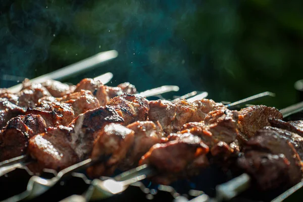 Shashlik Porco Saboroso Grelha — Fotografia de Stock