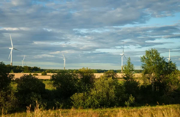 Wind Turbines Park Eco Energy Concept — Fotografia de Stock