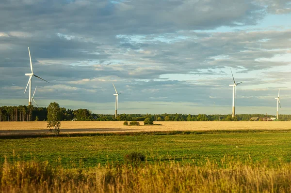 Wind Turbines Park Eco Energy Concept — Stockfoto
