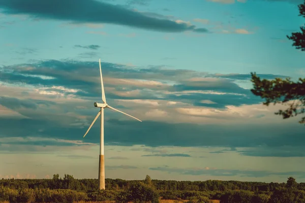 Wind Turbine Field Eco Energy Concept — Stock fotografie