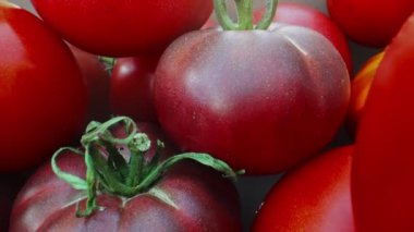 Pile of freshly cut ripe red tomatoes.
