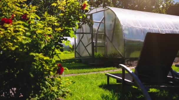 Modern Greenhouse Garden Summertime — Vídeo de stock