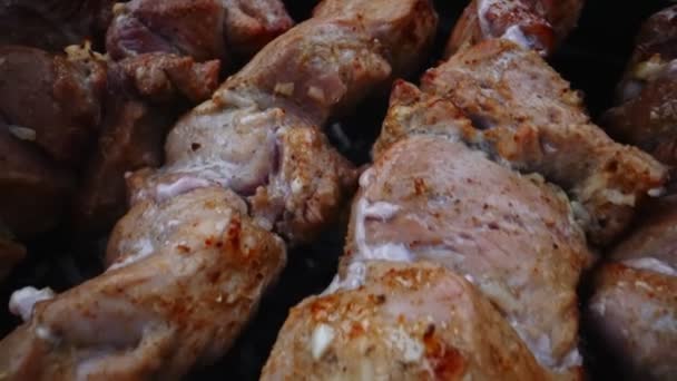 Lekker Varkensvlees Shashlik Grill — Stockvideo