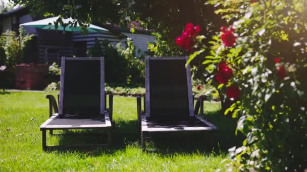 Two Sun Loungers Garden Summer — Stockvideo