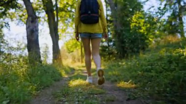 Woman tourist with backpack exploring forest. Back view.