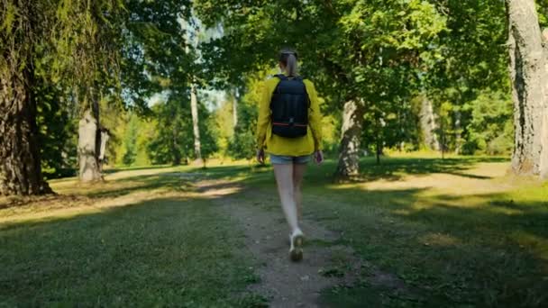 Woman Tourist Backpack Exploring Forest Back View — Vídeos de Stock