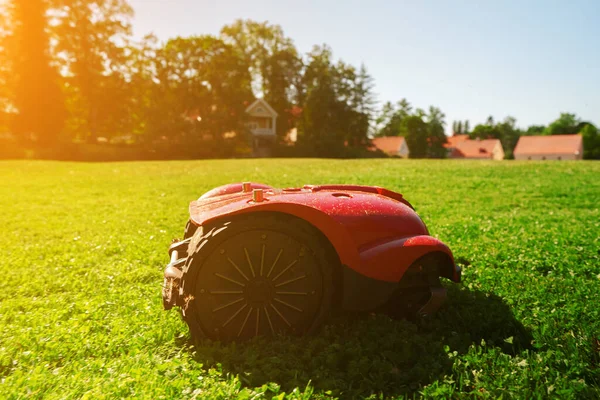 Red Robotic Lawn Mower Mows Grass Lawn — 图库照片
