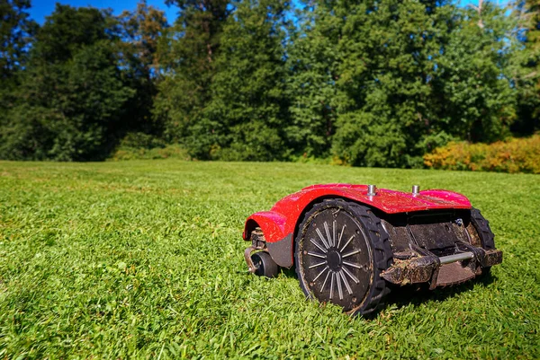 Red Robotic Lawn Mower Mows Grass Lawn — Stockfoto
