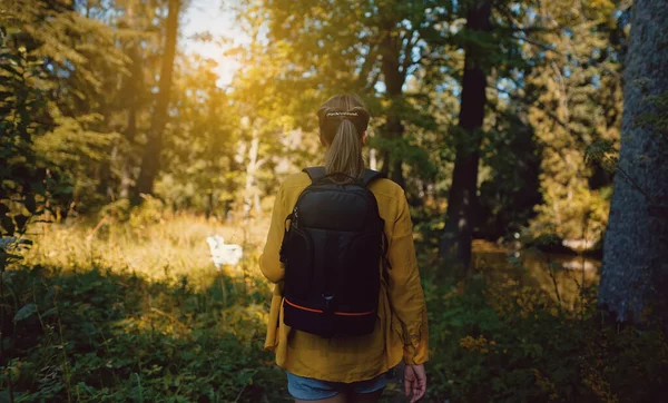Woman Tourist Backpack Exploring Forest Back View — 图库照片