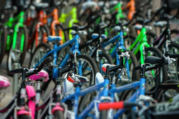 Bicycles on the street. Bike rental service.