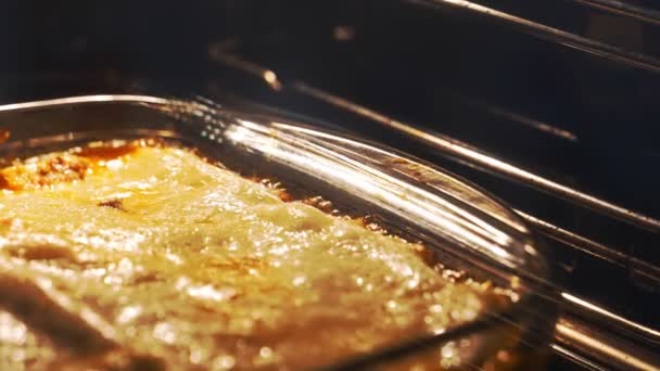 Italian Lasagna Baking Glass Casserole — Video Stock