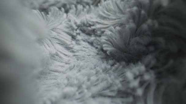 浅灰合成毛皮细节 宏观观点 — 图库视频影像