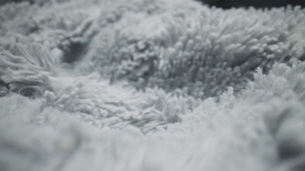 ライトグレーの合成毛皮の詳細 マクロビュー — ストック動画