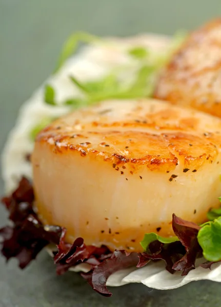 Sea Scallop with greens in a scallop shell — Stock Photo, Image