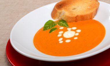 domates çorbası kızarmış ekmek ve fesleğen ile lezzetli kase