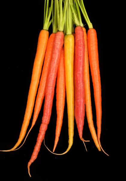Karotten in verschiedenen Farben — Stockfoto
