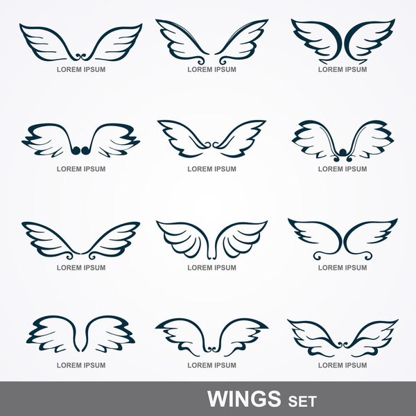 Wings collection (set of wings)