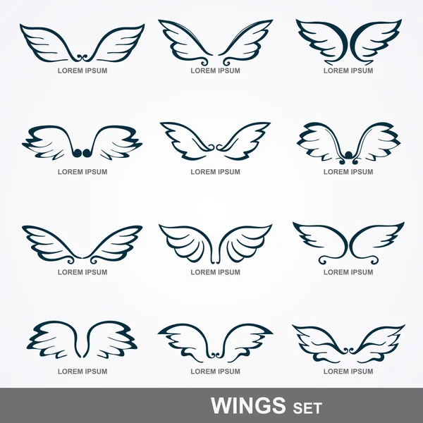 날개 컬렉션 (날개 세트) — 스톡 벡터