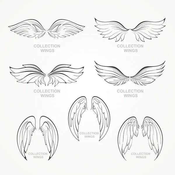 kanatlar toplama (kanat seti)