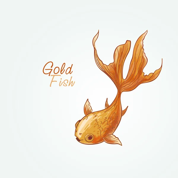 Goldfisch — Stockvektor