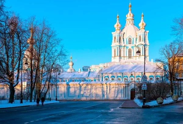 스몰니 공원에서 스몰니 대성당으로 향하라 겨울날 상트페테르부르크 러시아 — 스톡 사진