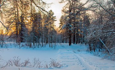Karlı kırsal kış manzara. Kırsal kış.