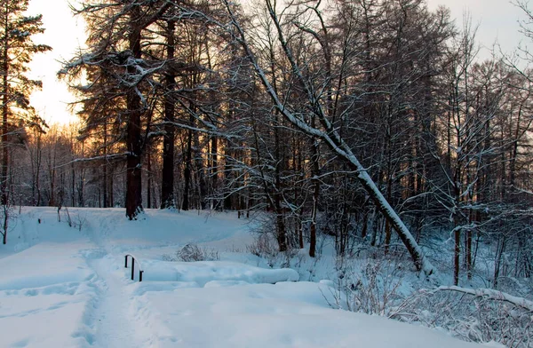 Сельский Зимний Снежный Пейзаж Зима Деревне — стоковое фото