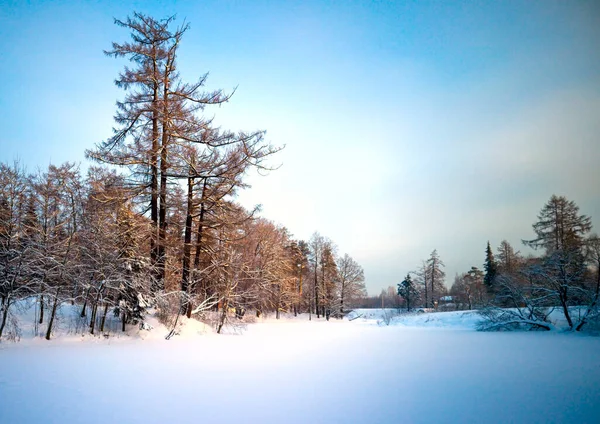 Rural Winter Snowy Landscape Winter Countryside — Stock Photo, Image