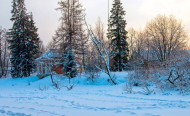Priyutino, bir edebiyat ve sanat müzesi olan Vsevolozhsk Town, Priyutino 17 Aralık 1974 'te A.N.' nin eski mülkünde sevgiyle anıldı. Olen, Sanat Akademisi Başkanı ve İmparatorluk Halk Kütüphanesi Başkanı. 