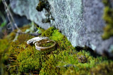 Altın alyans oturan