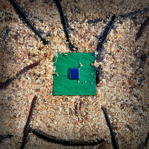 Computer CPU chip with worms — Stock Photo, Image