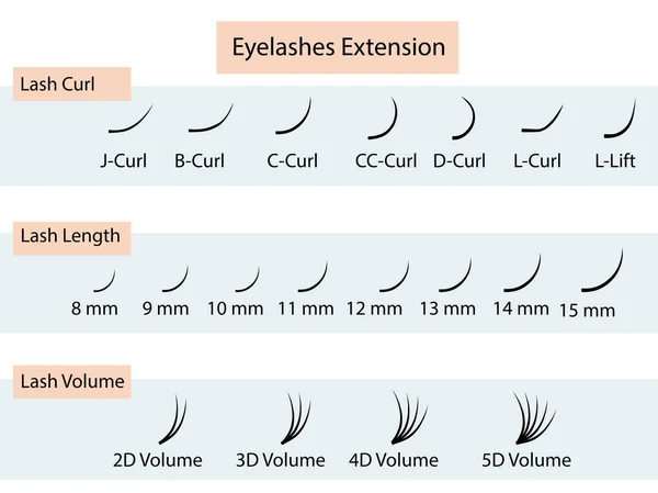 Guía de extensión de pestañas. Ilustración vectorial infográfica. Cartel de formación — Vector de stock