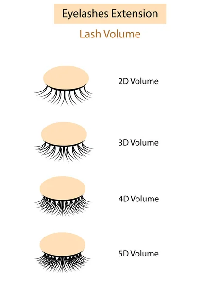 Eyelash extension guide. Lash Volume. Vector illustration — Stock Vector